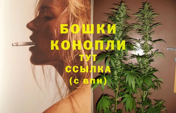 стаф Ладушкин