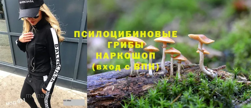 Галлюциногенные грибы прущие грибы Черепаново
